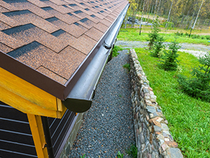 Gutter Cleaning Techniques