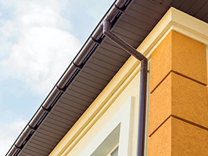 Gutter Cleaning