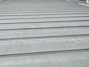 Metal Roof Coating2