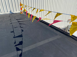 Low Slope Roofing1