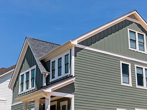 Gutter Cleaning2