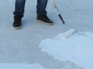 Elastomeric Roof Coatings1
